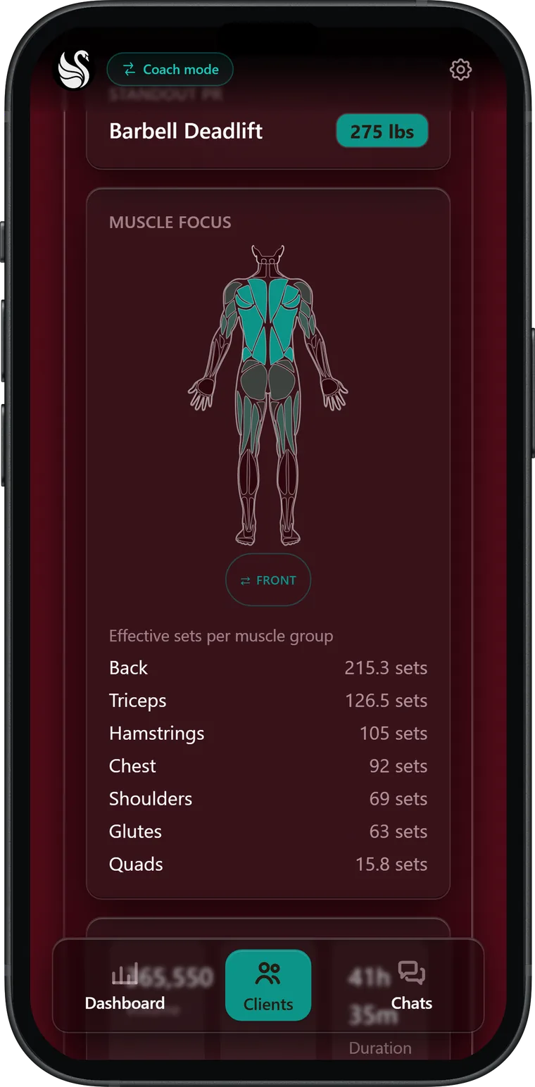 The muscle-distribution map in a crimson coach brand.